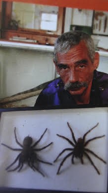 Tarántula goliath (Theraphosa)