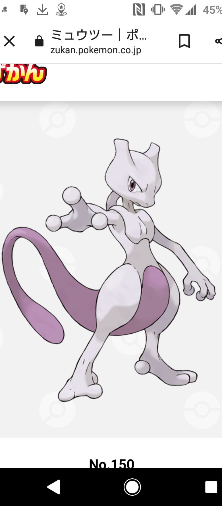 Stenaelurillus (Stenaelurillus)